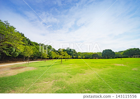 Chiba Prefectural Kashiwanoha Park Chiba Prefectural Kashiwanoha Park 143115556