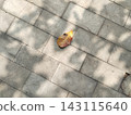 A golden autumn leaf rests on weathered stone pavement 143115640