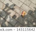 A golden autumn leaf rests on weathered stone pavement 143115642