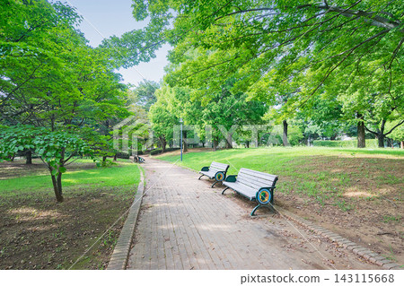 千葉縣柏之葉公園 143115668