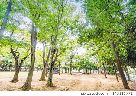 松葉第二鄰居公園 143115771