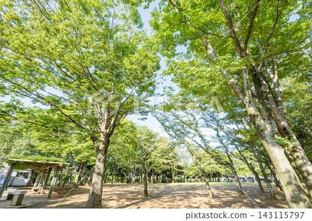 松葉第二鄰居公園 松葉第二鄰居公園 143115797
