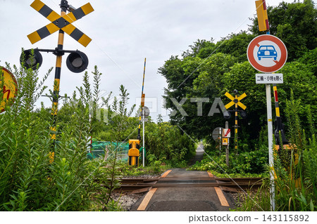 A small railway crossing in a lush, overgrown countryside. A small railway crossing in a lush, overgrown countryside. 143115892