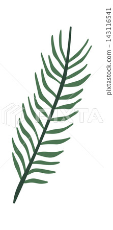 Pine Branch Winter Botanical Cartoon Pine Branch Winter Botanical Cartoon 143116541