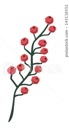 Berry Branch Winter Botanical Cartoon Style 143116552