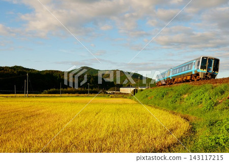 The Ashizuri express train travels along the golden Shimanto River. The Ashizuri express train travels along the golden Shimanto River. 143117215