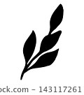 Silhouette of a branch with leaves. Vector illustration of vegetation. Simple black outline graphics hand-drawn in doodle style. Line drawing of forest nature. Thanksgiving. Clipart for postcards. 143117261