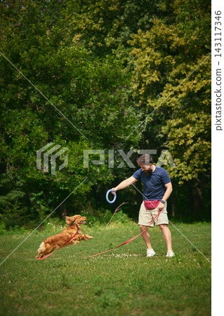 Excited dog chasing flying blue ring during outdoor training game Excited dog chasing flying blue ring during outdoor training game 143117346