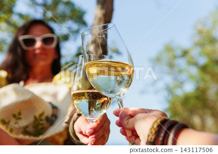 Cheers with White Wine During a Sunny Outdoor Vacation Cheers with White Wine During a Sunny Outdoor Vacation 143117506