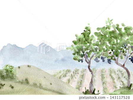 Watercolor vineyard landscape with grapevine rows, green hills, blue mountains and grape trees. Hand painted countryside scene with white copy space for winery, travel and wine themed designs Watercolor vineyard landscape with grapevine rows, green hills, blue mountains and grape trees. Hand painted countryside scene with white copy space for winery, travel and wine themed designs 143117528