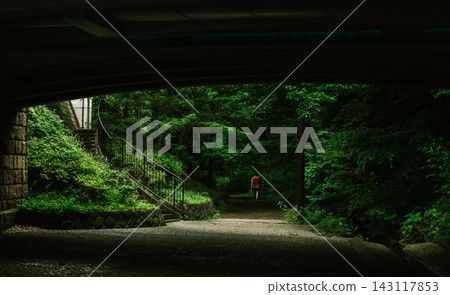 Distant Walker on a Dark Path beneath a Concrete Bridge 143117853