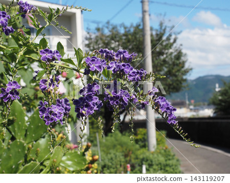 秋高氣爽的一天,寶塚杜蘭塔(位於吉野川沿岸的公路旁) 秋高氣爽的一天,寶塚杜蘭塔(位於吉野川沿岸的公路旁) 143119207