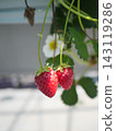 Crimson strawberries 143119286
