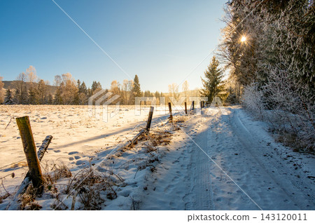 Magical winter forest road in Sumava National Park, Czech Republic, with snowy trees, an old wooden fence and a mystical pasture illuminated by golden sunrise or sunset rays. Magical winter forest road in Sumava National Park, Czech Republic, with snowy trees, an old wooden fence and a mystical pasture illuminated by golden sunrise or sunset rays. 143120011