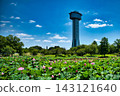 Gyoda Tower and Ancient Lotus 143121640