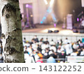 Festival landscape 143122252