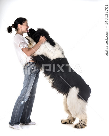 newfoundland dog and woman newfoundland dog and woman 143122701
