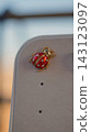 A small red and gold decorative jewelry piece is shown in close-up inside a cream jewelry case. The vivid ornament represents elegance, attention to detail, and the value of carefully preserved 143123097