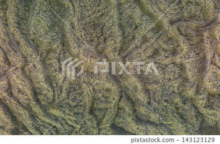 Moss-covered lava folds and rounded ridges in Eldhraun, Iceland, aerial view Moss-covered lava folds and rounded ridges in Eldhraun, Iceland, aerial view 143123129