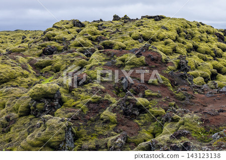 Moss covered lava rocks across Eldhraun volcanic field in southern Iceland Moss covered lava rocks across Eldhraun volcanic field in southern Iceland 143123138