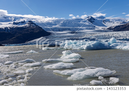Floating icebergs in Fjallsarlon glacier lagoon with Fjallsjokull, Iceland Floating icebergs in Fjallsarlon glacier lagoon with Fjallsjokull, Iceland 143123353