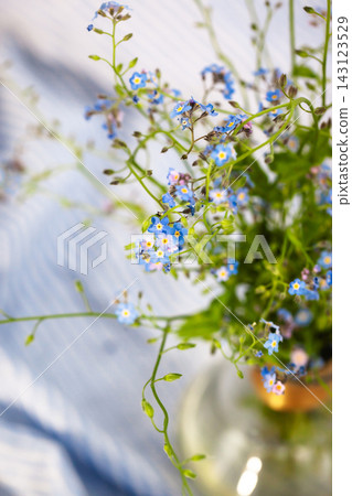Beautiful fresh forget-me-not flowers in glass vase, top view, soft focus Beautiful fresh forget-me-not flowers in glass vase, top view, soft focus 143123529