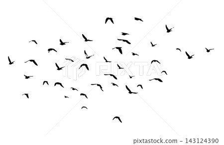 Flying birds silhouette flock. hand drawing. Not AI. Vector illustration Flying birds silhouette flock. hand drawing. Not AI. Vector illustration 143124390