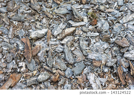 Natural Wood Bark Mulch Texture Background 143124522