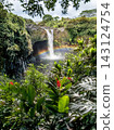 waterfall in the garden 143124754