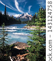 view of the lake in the forest 143124758