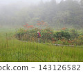 Hikers strolling through a misty wetland in early autumn (20260917111040) 143126582