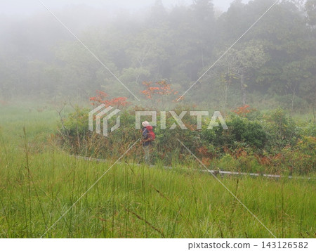 Hikers strolling through a misty wetland in early autumn (20260917111040) Hikers strolling through a misty wetland in early autumn (20260917111040) 143126582