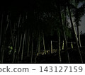 夜幕下的竹林－燈光昏暗的竹林景觀 143127159