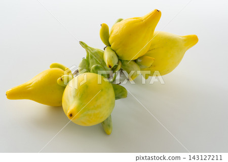 A bunch of Foxface oranges, a mix of ripe and unripe fruit. A bunch of Foxface oranges, a mix of ripe and unripe fruit. 143127211