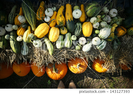 Pumpkin patch market, autumn harvest concept 143127393