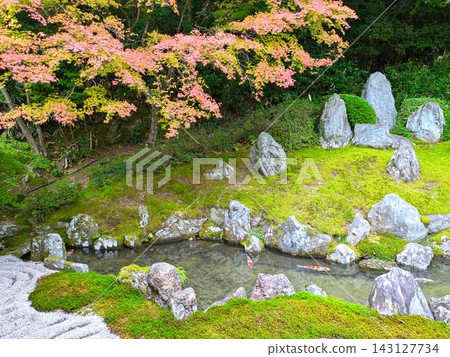 觀音寺的日式庭園,以其美麗的苔蘚和石頭佈置而聞名(山口縣周南市) 觀音寺的日式庭園,以其美麗的苔蘚和石頭佈置而聞名(山口縣周南市) 143127734