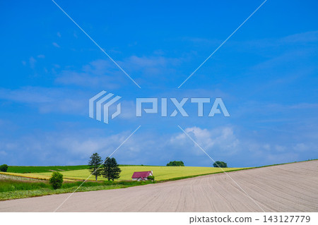 A hill like something out of a picture book A hill like something out of a picture book 143127779
