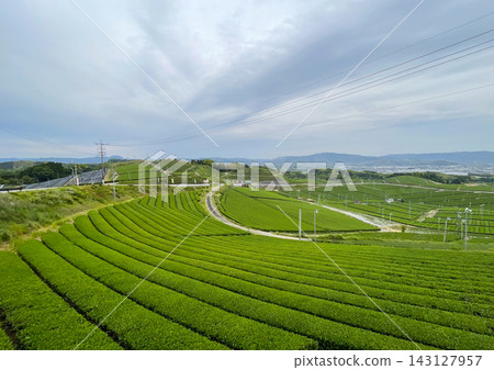 Yame Central Tea Plantation: Spreading tea fields and mountain ranges (Yame City, Fukuoka Prefecture) Yame Central Tea Plantation: Spreading tea fields and mountain ranges (Yame City, Fukuoka Prefecture) 143127957
