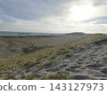 Sunny sandy beaches and coastal plants overlooking the sea in Hamamatsu 143127973