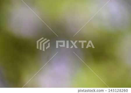 Background material of a landscape with blurred green foliage. Background material of a landscape with blurred green foliage. 143128260