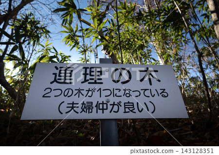 位於兵之山登山道上的「仁理樹」（象徵美滿婚姻的樹）路標。 *照片拍攝地點已在作品說明中註明。 143128351