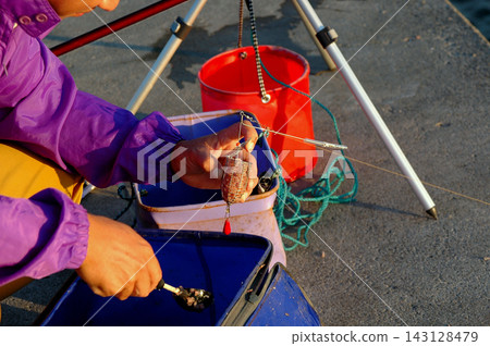 This is a scene of someone filling a basket with chum bait for basket fishing. This is a scene of someone filling a basket with chum bait for basket fishing. 143128479