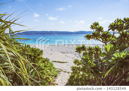 Kerama Islands, Sil Beach (Zamami Island) Kerama Islands, Sil Beach (Zamami Island) 143128549