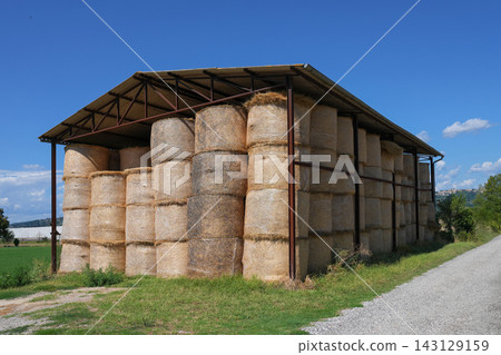 Barn filled with stacked hay bales in countryside 143129159