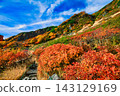 Autumn foliage at Senjojiki Cirque in the Central Alps 143129169