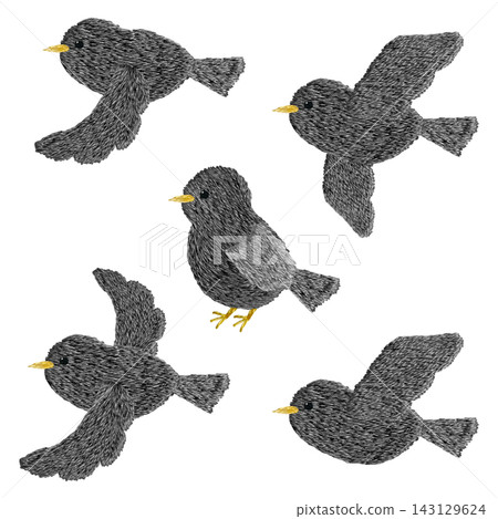 【黑鳥圖案組】手工刺繡插畫材質 【黑鳥圖案組】手工刺繡插畫材質 143129624