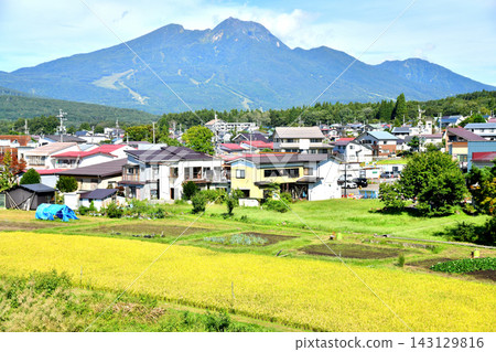 View of the area around Kurohime Station on the Shinano Railway Kita-Shinano Line, towards Mt. Myoko (Shinano-machi, Nagano Prefecture) [September 2026] 143129816
