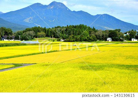 View of Mt. Myoko from Honami, Shinano-machi, Nagano Prefecture (Shinano-machi, Nagano Prefecture) [2026.9] 143130615