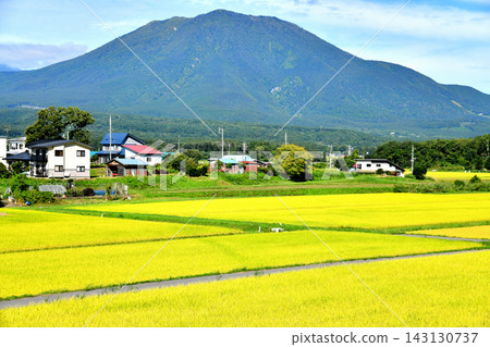 View towards Mt. Kurohime from Honami, Shinano-machi, Nagano Prefecture (Shinano-machi, Nagano Prefecture) [2026.9] 143130737