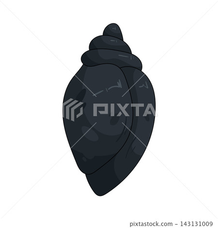 Illustration of dark seashell 143131009